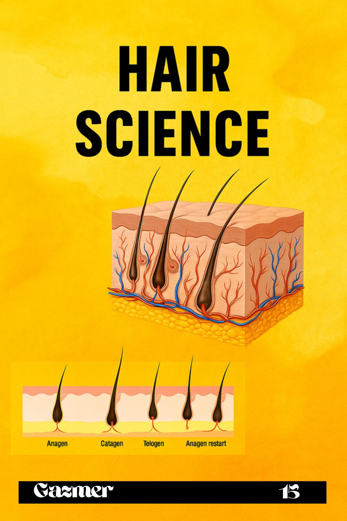 চুল বি জ্ঞা ন (Hair Science)